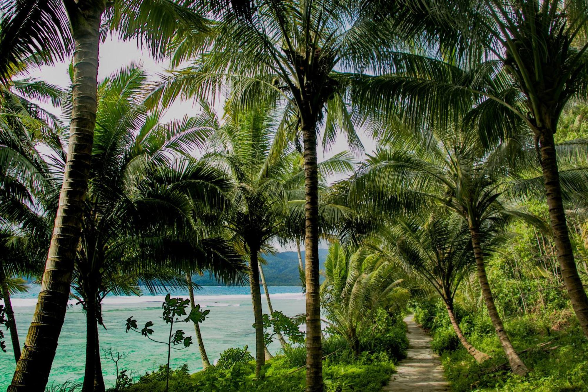 Sumatra Surf Resort Biha Extérieur photo