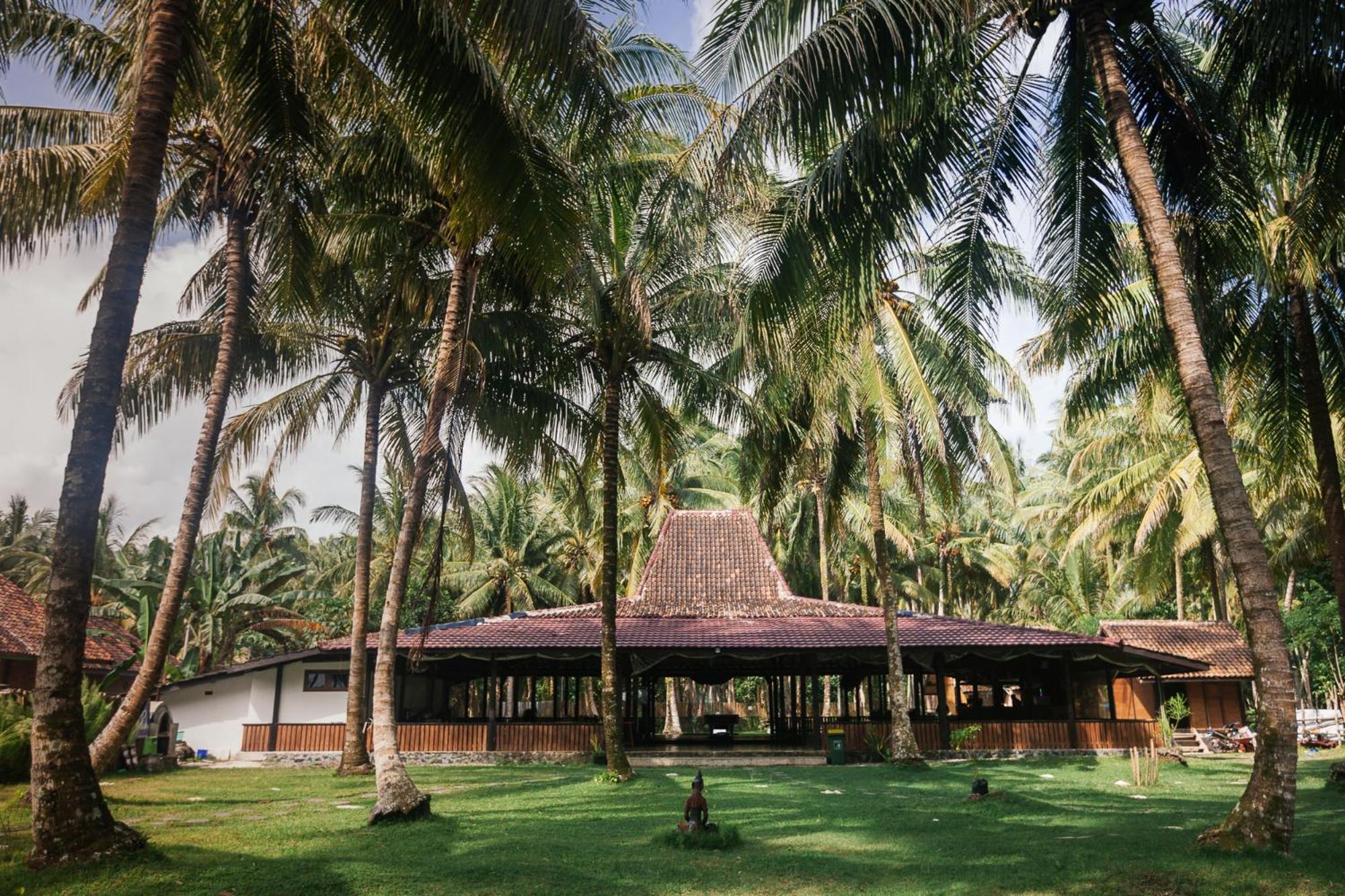 Sumatra Surf Resort Biha Extérieur photo