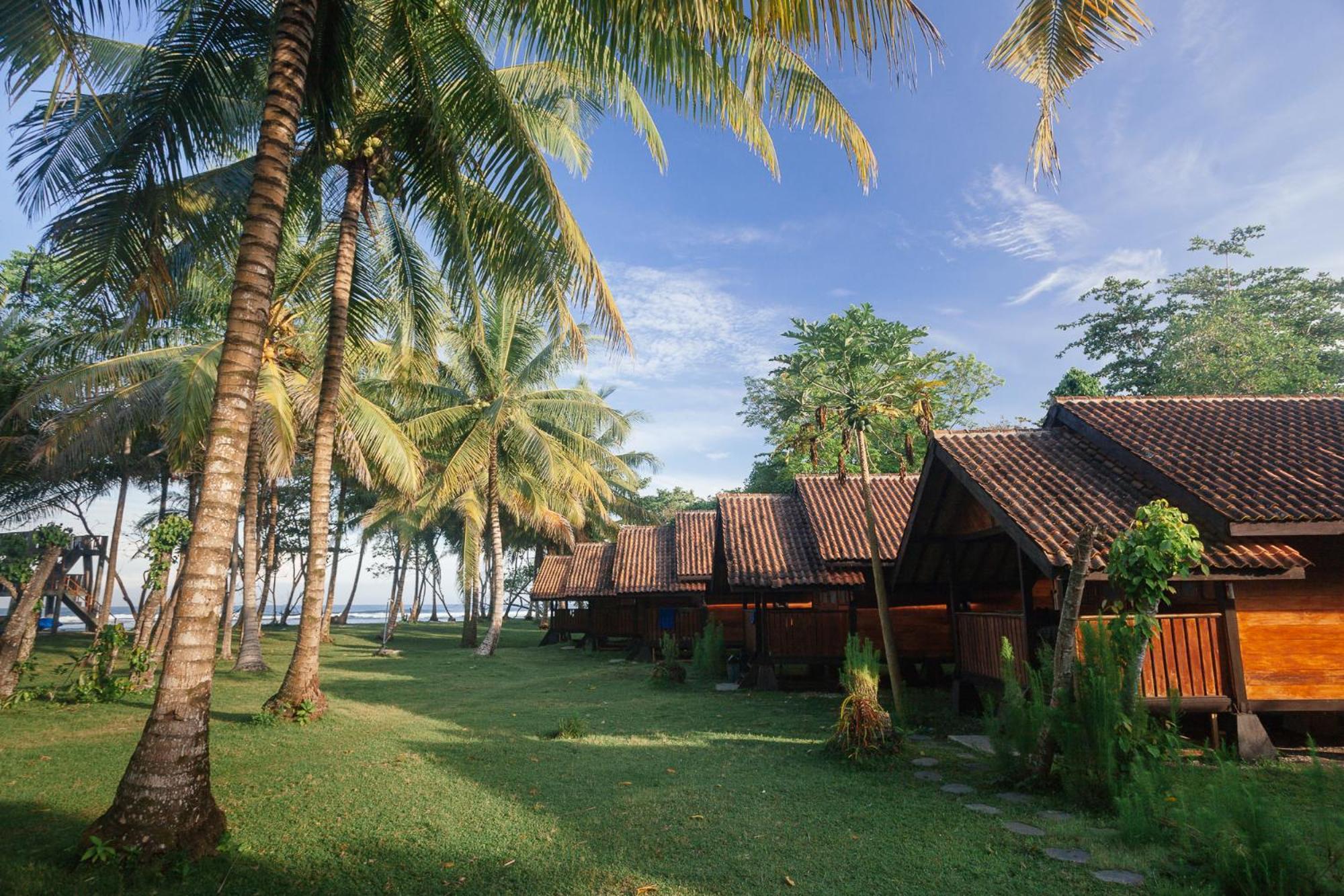 Sumatra Surf Resort Biha Extérieur photo
