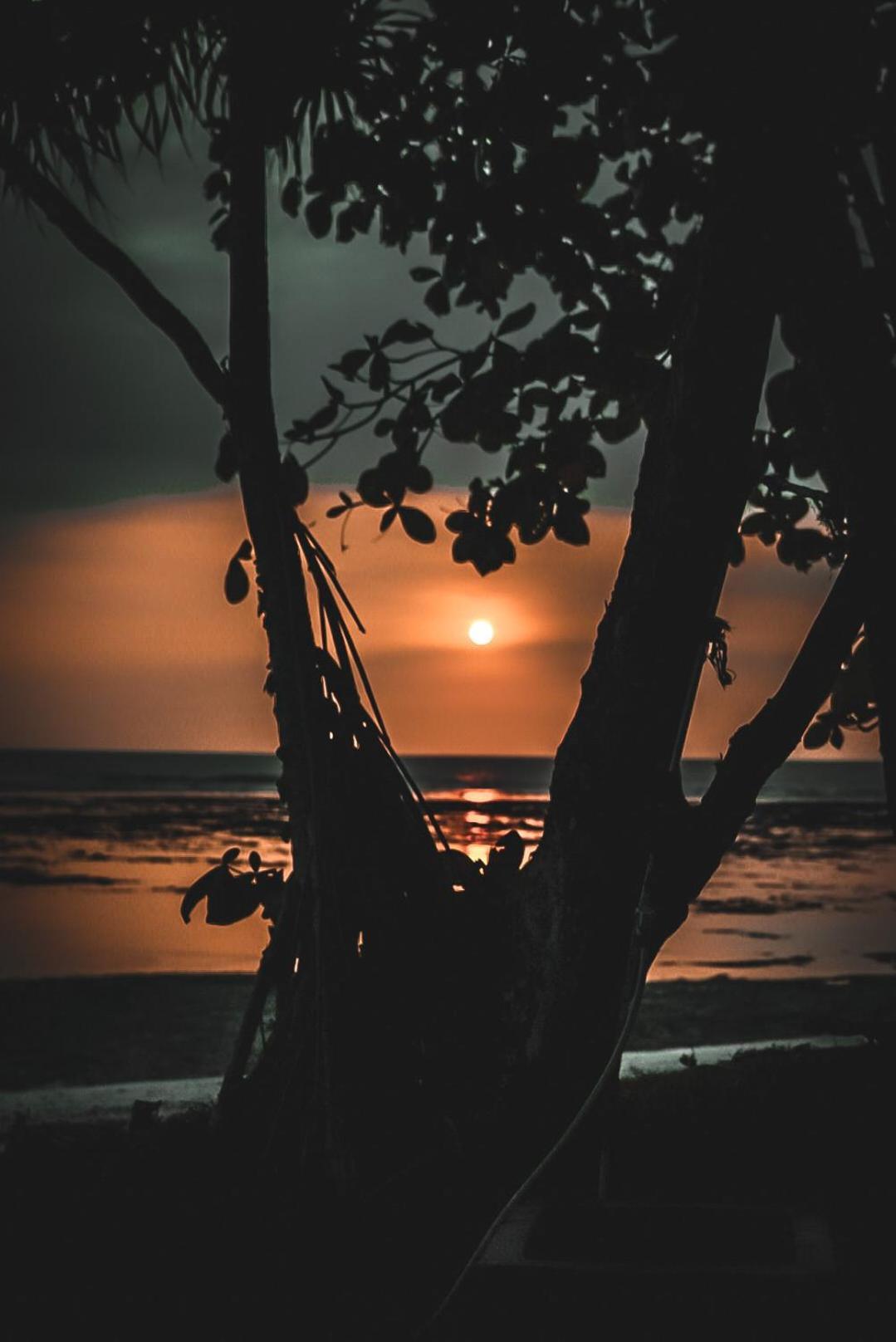 Sumatra Surf Resort Biha Extérieur photo