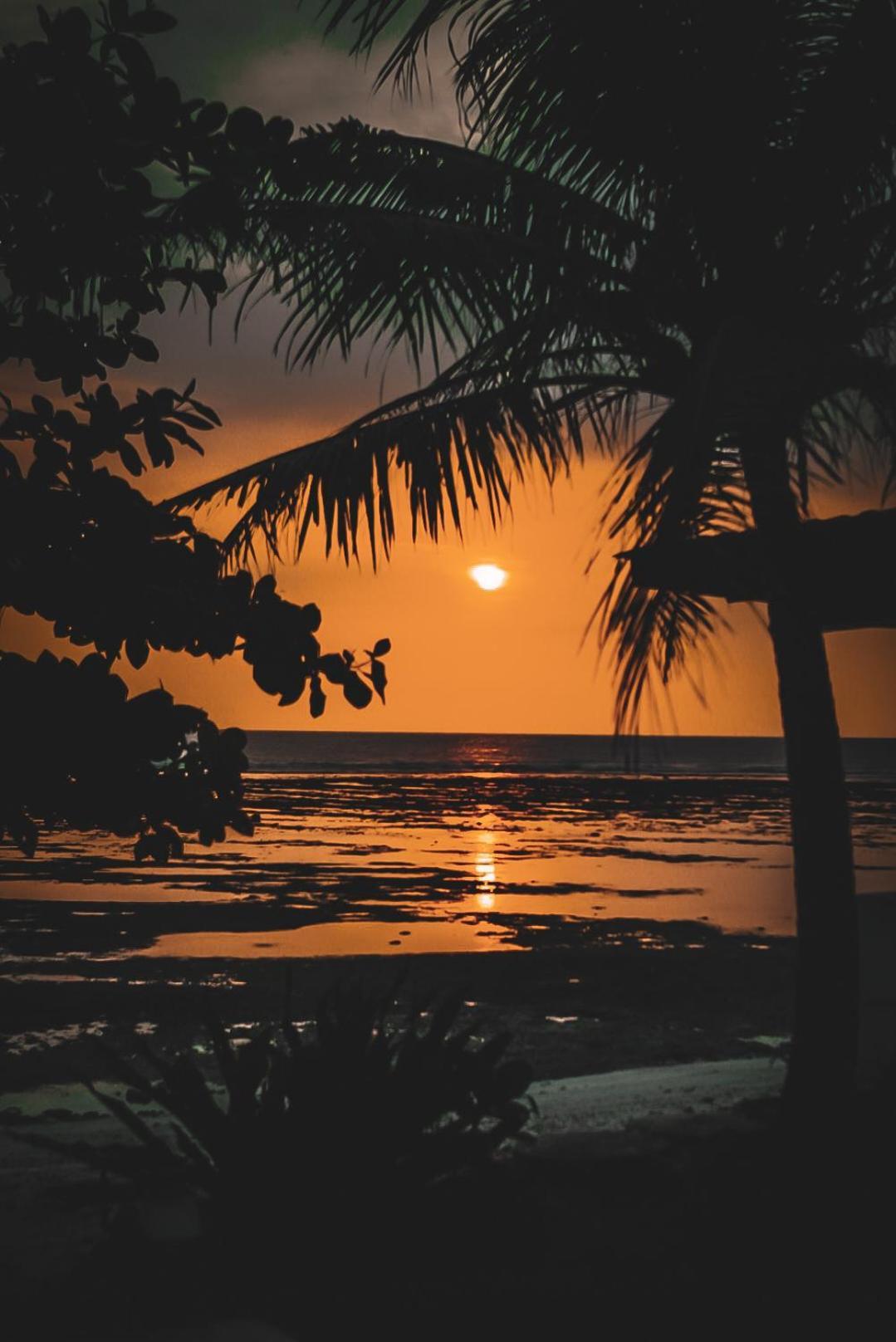 Sumatra Surf Resort Biha Extérieur photo